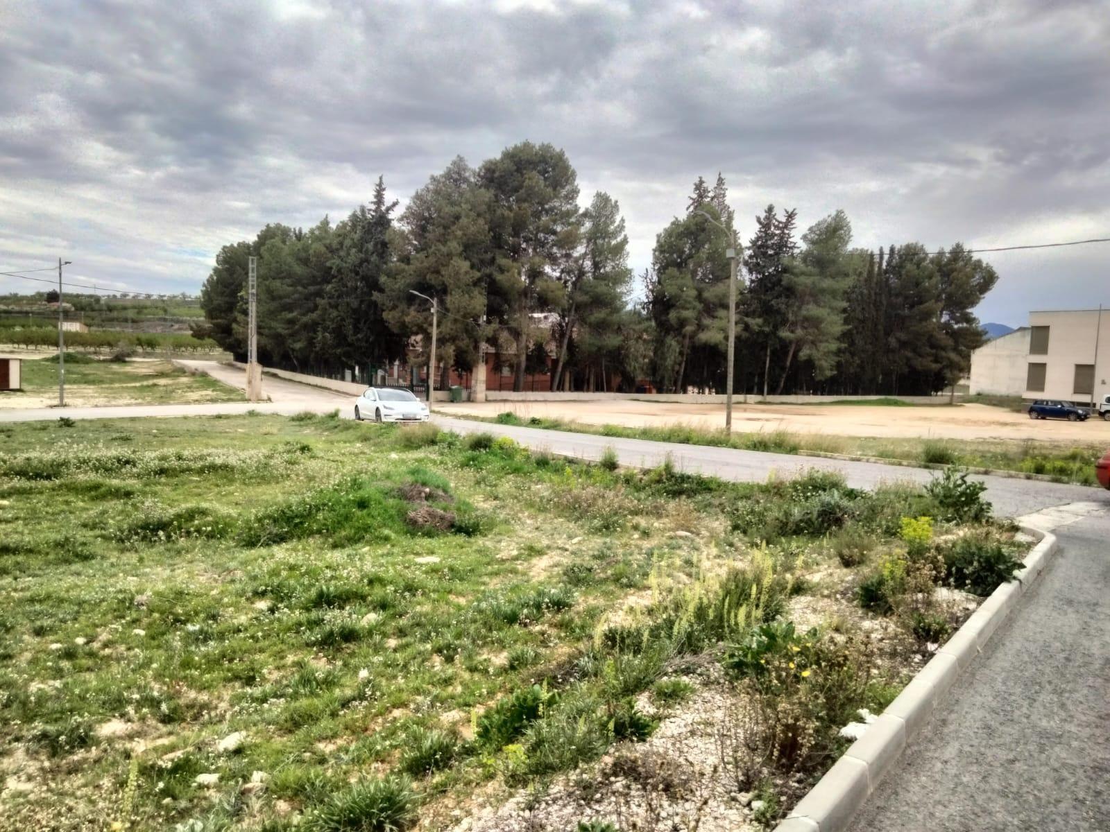Land in Bullas for sale Site Plan- Image 1 of 5