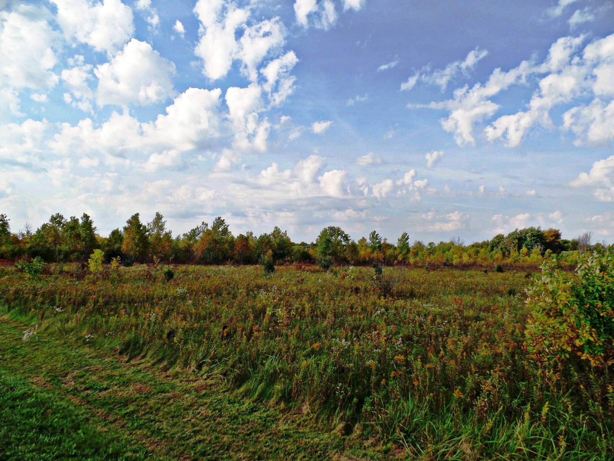 9147 Corunna Rd, Flint, MI for sale Primary Photo- Image 1 of 8