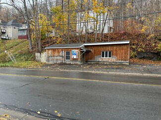 Plus de détails pour 128 Chestnut St, Oneonta, NY - Commerce de détail à vendre