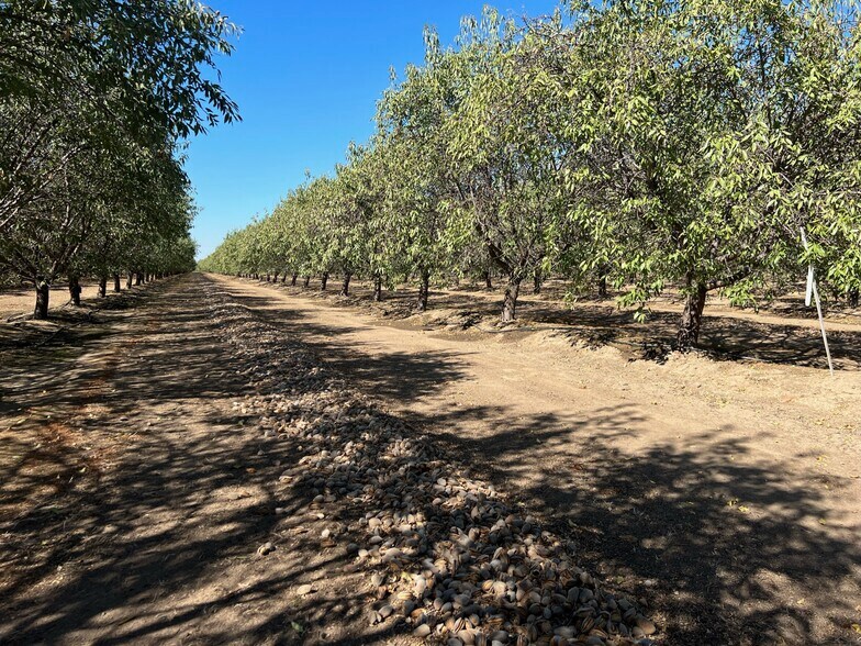 Road 29, Madera, CA à vendre - Photo du bâtiment - Image 2 de 4