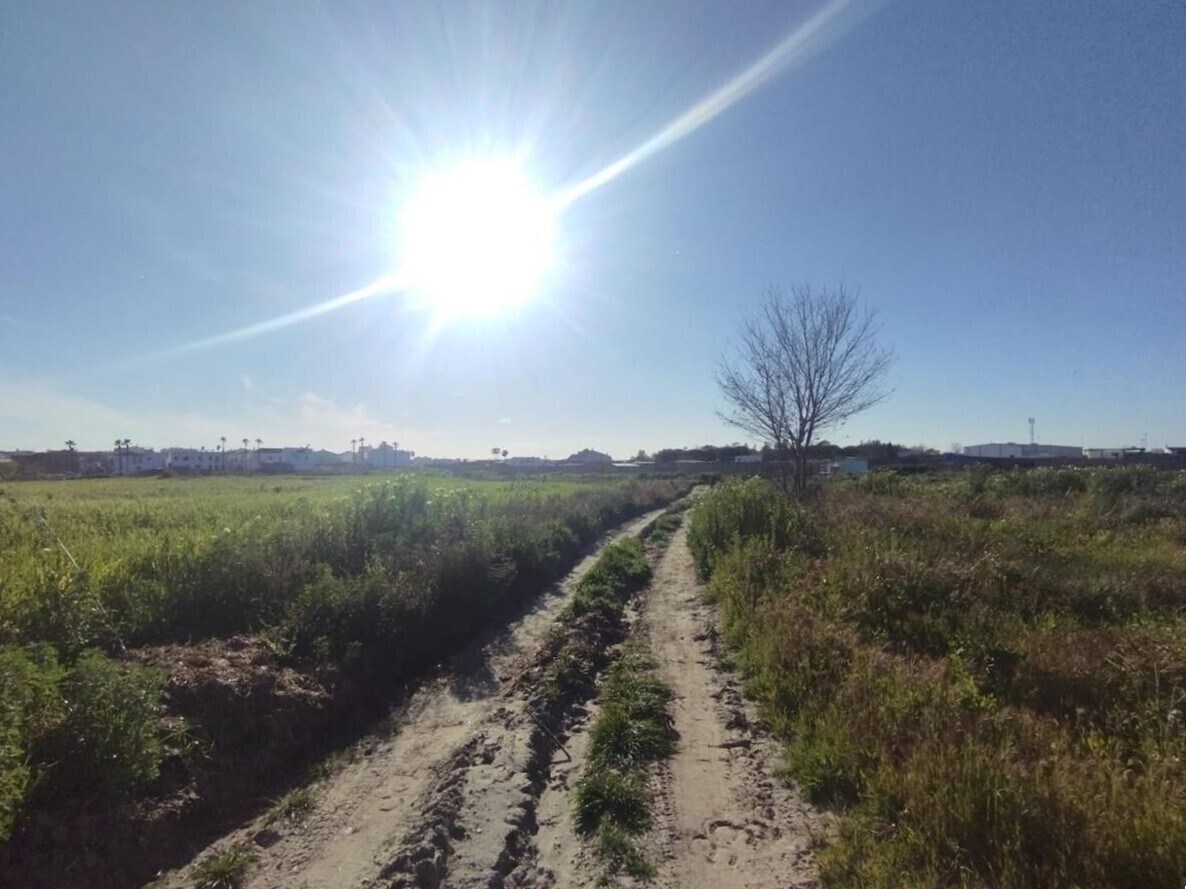 Calle Alonsario, Almonte, Huelva for sale Primary Photo- Image 1 of 14