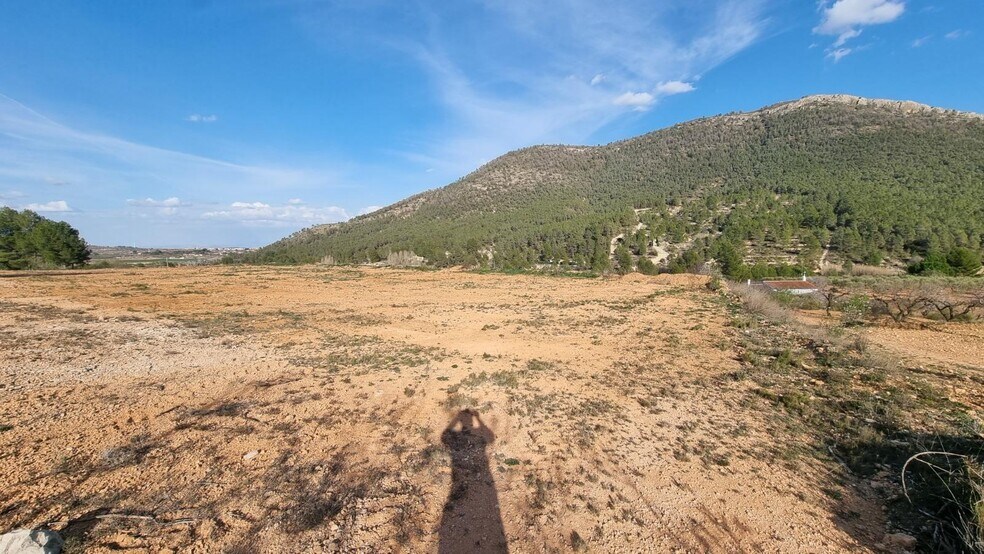 Polígono Industrial Marimingo, 16, Bullas, Murcia for sale - Building Photo - Image 3 of 12