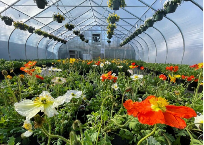 886 Route 25A, Miller Place, NY à vendre Photo du bâtiment- Image 1 de 2