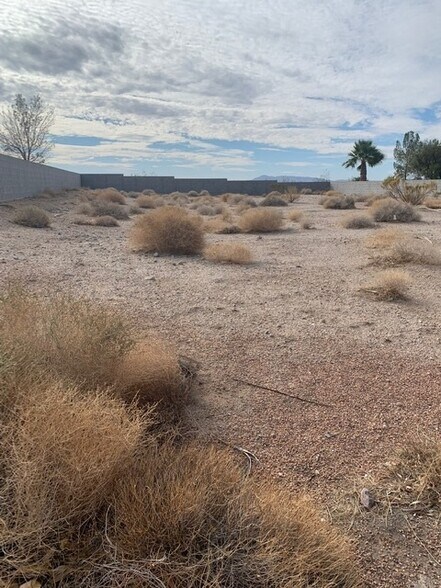 135 Fig Leaf Ln, Palm Gardens, NV à vendre - Autre - Image 2 de 16