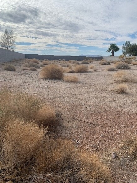 135 Fig Leaf Ln, Palm Gardens, NV for sale - Other - Image 2 of 16