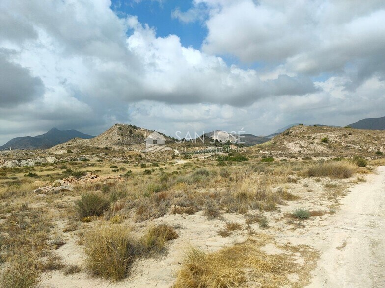 Land in Aspe for sale - Building Photo - Image 3 of 5