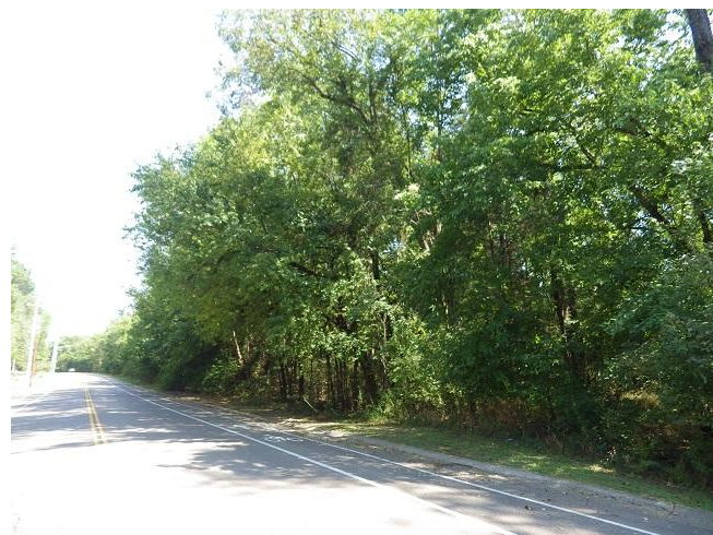 Hospital Rd. & Reed Rd, Starkville, MS à vendre - Photo principale - Image 1 de 1