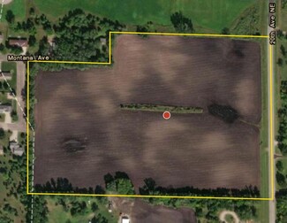 Plus de détails pour 20th Ave NE, Benson, MN - Terrain à vendre