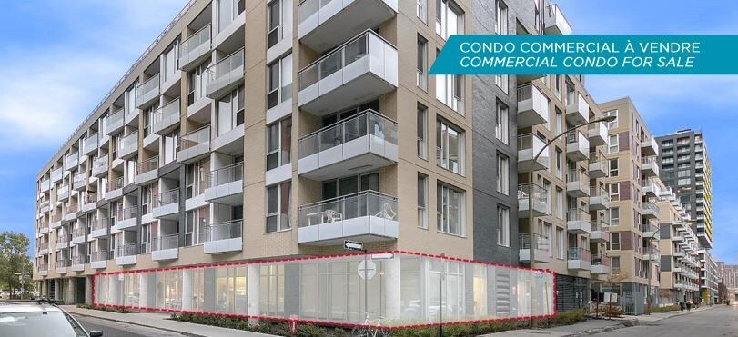 1020 Rue William, Montréal, QC à vendre Photo principale- Image 1 de 1