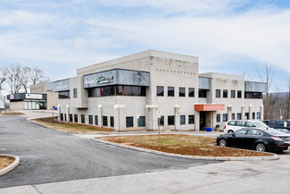 More details for 245 Pelham Rd, St Catharines, ON - Office for Lease