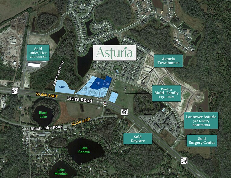 State Road 54, Odessa, FL à louer - Aérien - Image 2 de 4