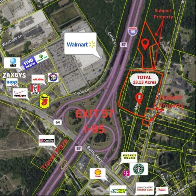 Plus de détails pour 00 Mt Carmel Rd, Walterboro, SC - Terrain à vendre