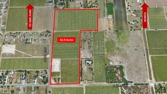 More details for 513 Melo Gold, San Juan, TX - Land for Sale