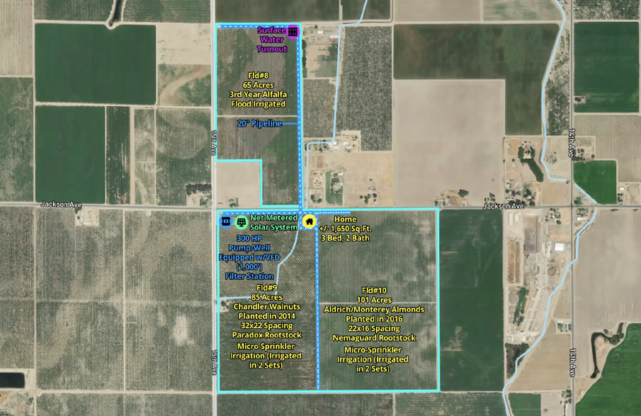 895.49 Acres Walnuts/Almonds/Open Ground portefeuille de 3 propriétés à vendre sur LoopNet.ca - Photo du bâtiment - Image 3 de 5