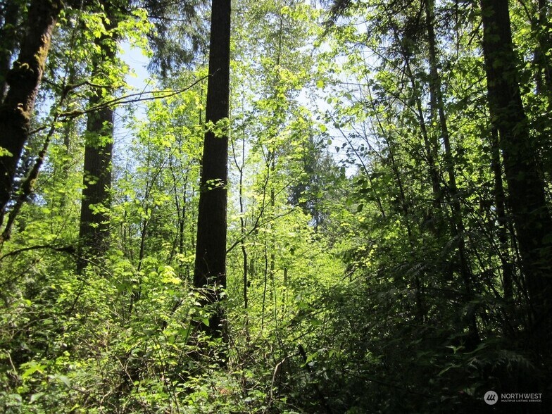 20633 SE 388th St, Auburn, WA à vendre - Photo du bâtiment - Image 3 de 5