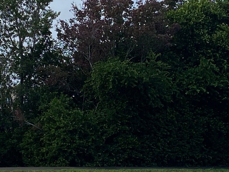 751 Puccini Ave S, Lehigh Acres, FL for sale - Site Plan - Image 1 of 1