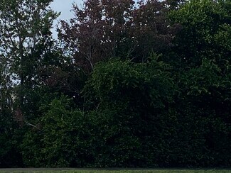 Plus de détails pour 751 Puccini Ave S, Lehigh Acres, FL - Terrain à vendre