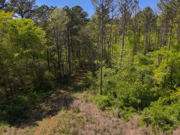 0 S Sauty Rd, Langston, AL for sale - Aerial - Image 3 of 7