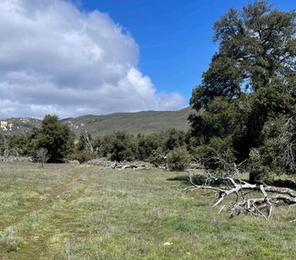 Plus de détails pour Gutay Land, Descanso, CA - Terrain à vendre