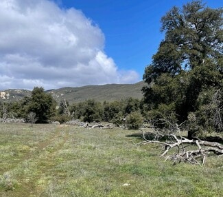 More details for Guatay, Descanso, CA - Land for Sale