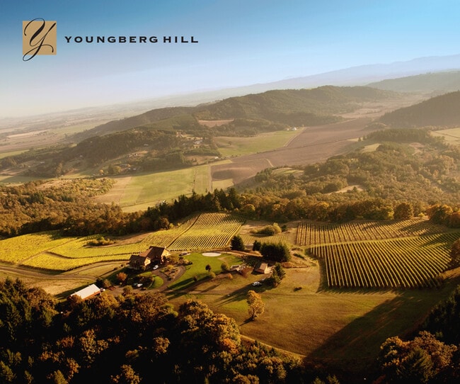 More details for 10660 SW Youngberg Hill Rd, Mcminnville, OR - Hospitality for Sale