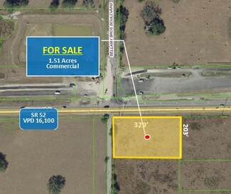 Plus de détails pour State Road 52, San Antonio, FL - Terrain à vendre