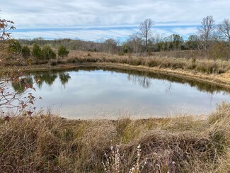 Plus de détails pour 1486 Martin Road, Ware Shoals, SC - Terrain à vendre