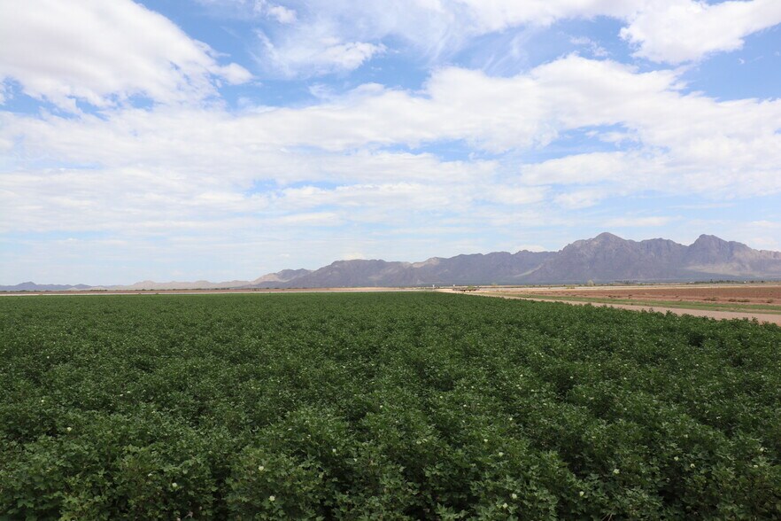 501 N. Highway 87, Eloy, AZ à vendre - Autre - Image 2 de 6
