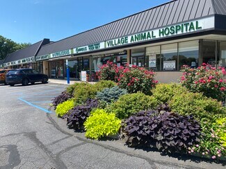 Plus de détails pour 2-28 Jericho Tpke, Jericho, NY - Commerce de détail à louer