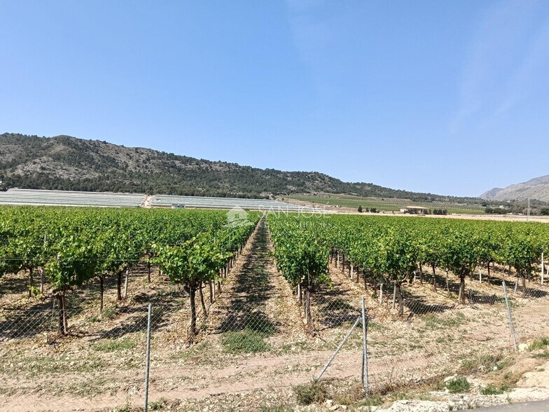 Terrain dans Aspe, Alicante à vendre - Aérien - Image 2 de 32