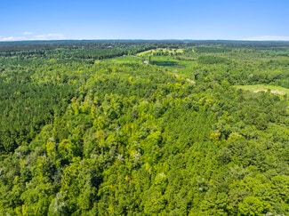 More details for 7471 Highway 155, Saline, LA - Land for Sale