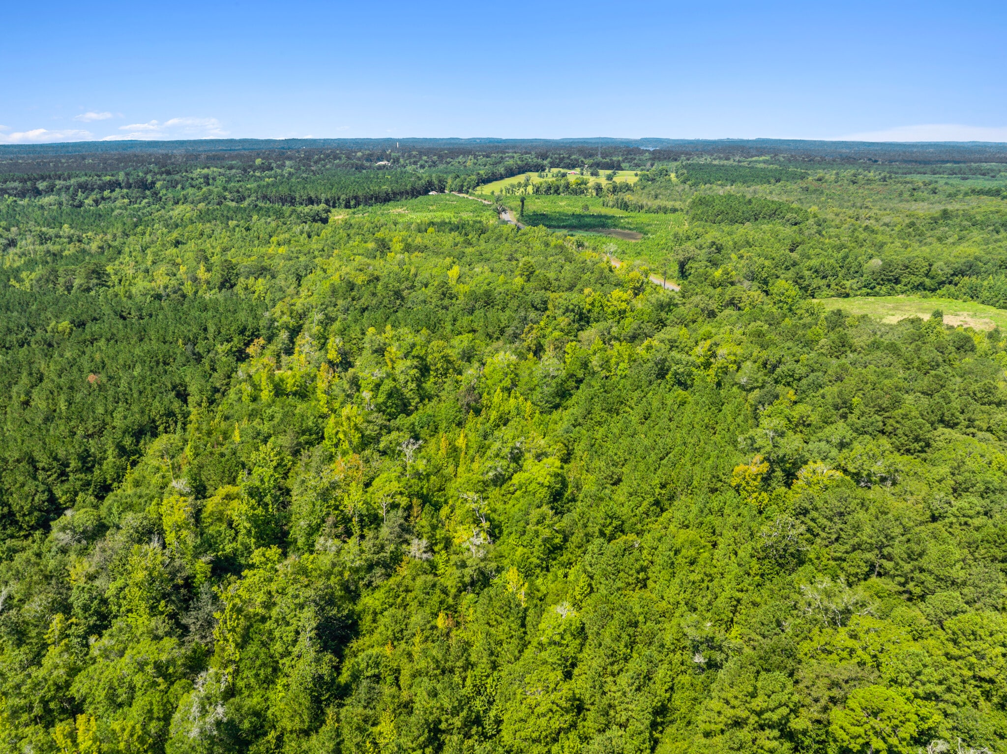 7471 Highway 155, Saline, LA for sale Primary Photo- Image 1 of 81