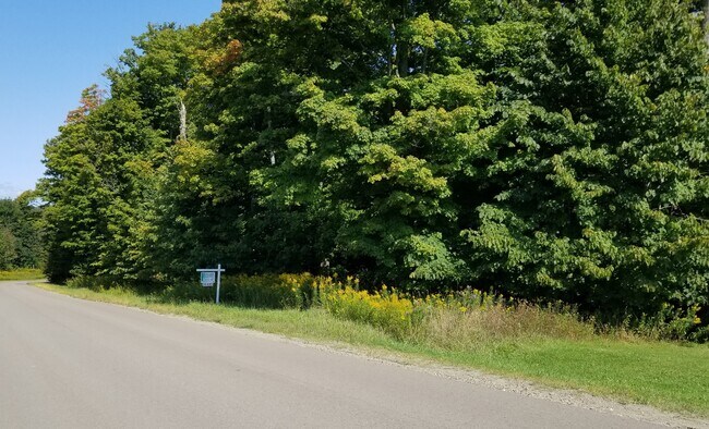 Plus de détails pour 0 Pekin Hill Rd, Clymer, NY - Terrain à vendre