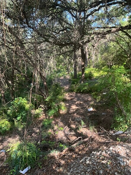 3012 Bee Caves Rd, Rollingwood, TX for sale - Interior Photo - Image 3 of 4