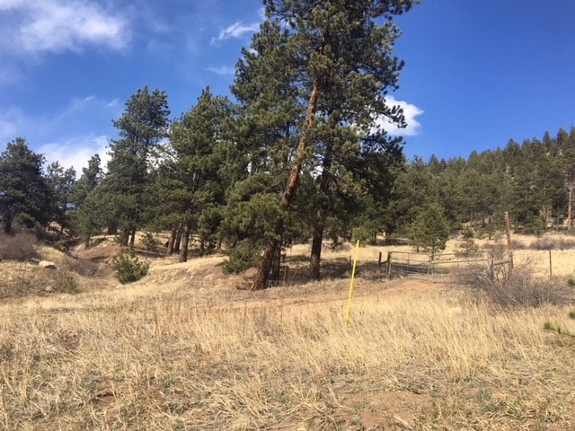 62430 US Highway 285, Bailey, CO for sale - Other - Image 3 of 14