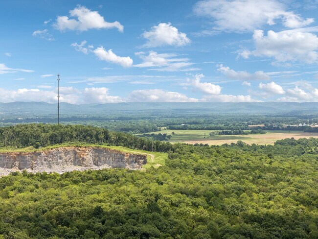 Plus de détails pour 7665 Shelbyville Pike, Christiana, TN - Terrain à vendre