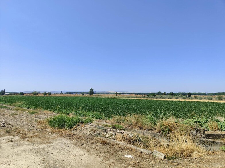 Carretera de Pinos Puente, Atarfe, Granada for sale - Aerial - Image 3 of 8