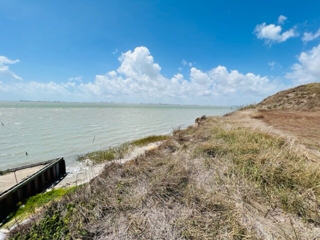 TBD County Road 2250, Taft, TX à vendre - Photo principale - Image 1 de 17