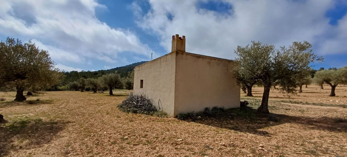 Land in Yecla, Murcia for sale Primary Photo- Image 1 of 8