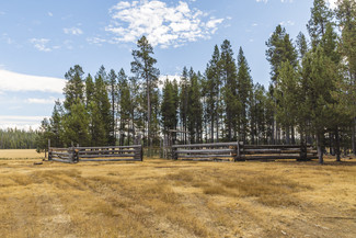 Plus de détails pour US Forest Service Rd, Silver Lake, OR - Terrain à vendre