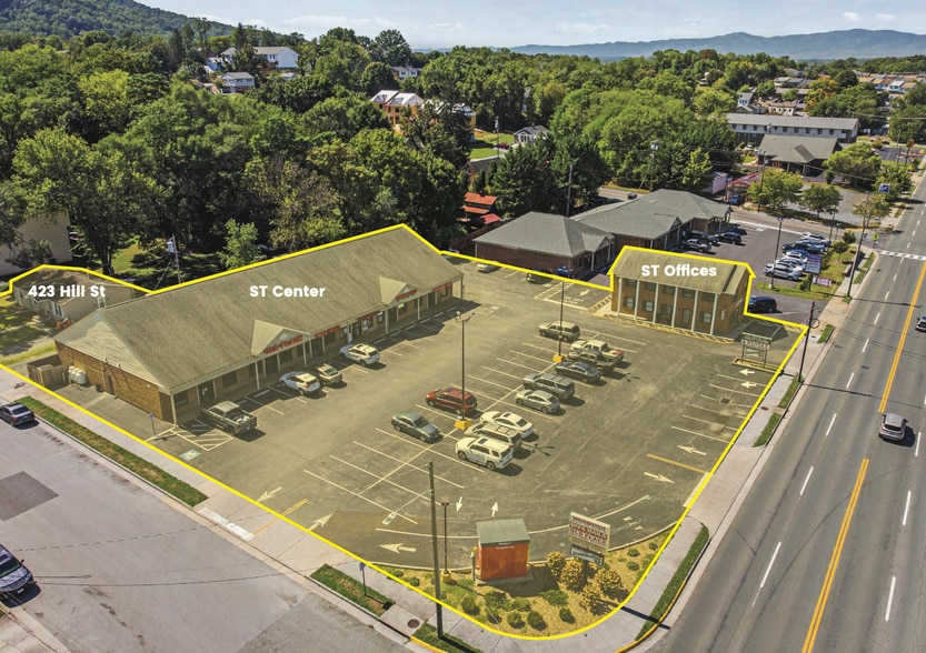 239 South St, Front Royal, VA for sale - Building Photo - Image 1 of 19