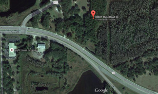 Plus de détails pour 30607 State Road 54, Wesley Chapel, FL - Terrain à vendre