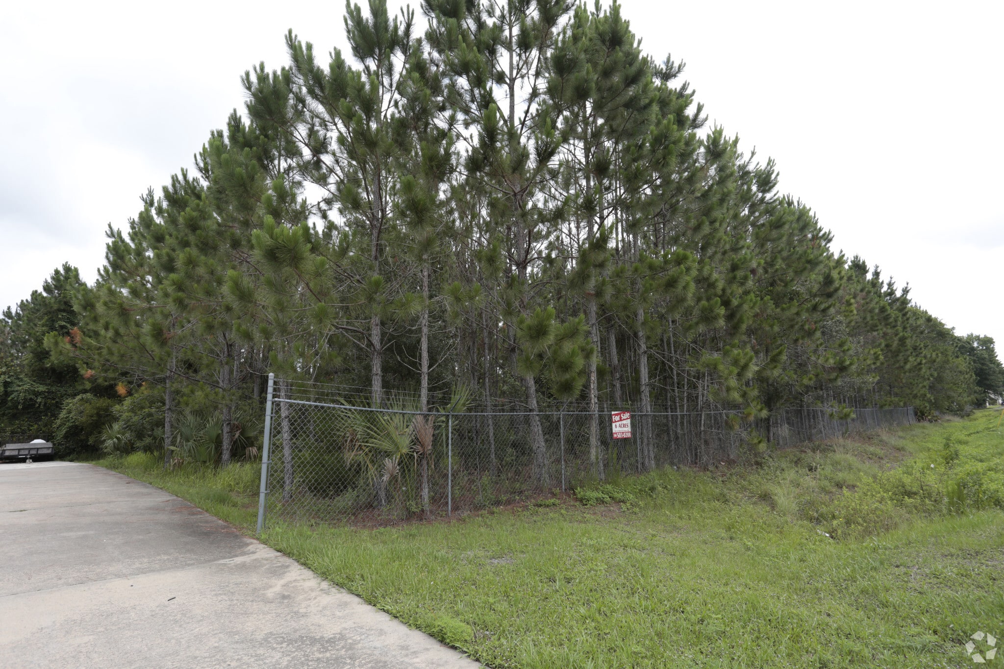 0 State Route 100, Bunnell, FL for sale Primary Photo- Image 1 of 3