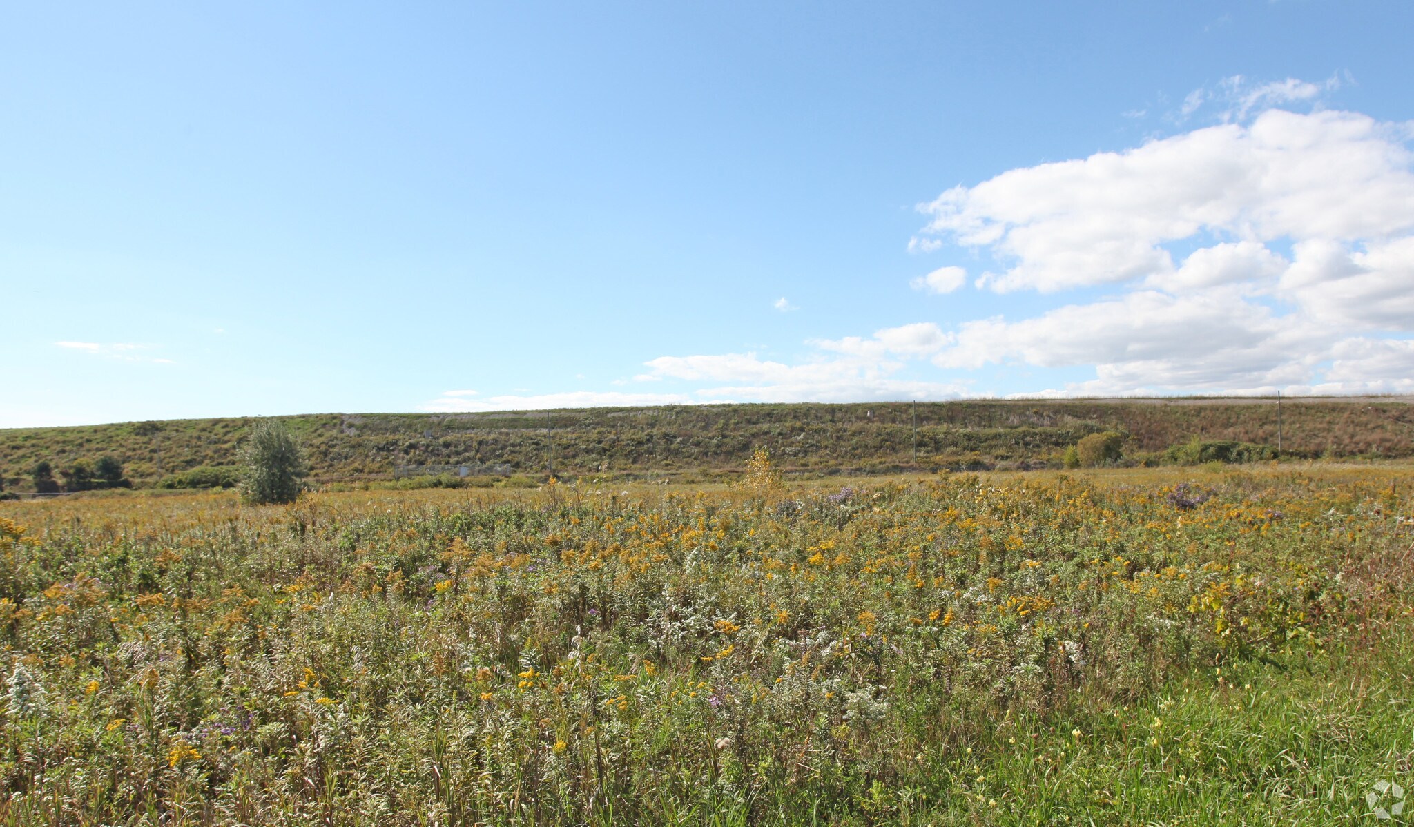 200 William Smith Dr, Whitby, ON à vendre Photo principale- Image 1 de 1