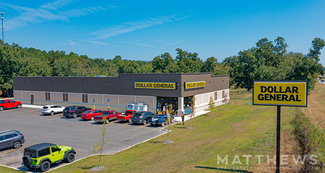 More details for 383 Halcyondale Rd, Sylvania, GA - Retail for Sale