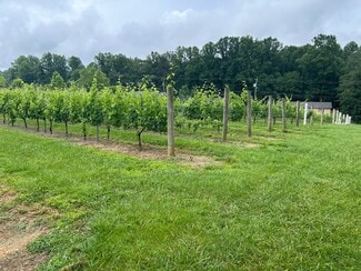 Plus de détails pour 124 Sandy Hill Ln, Hendersonville, NC - Spécialité à vendre