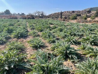 Plus de détails pour Polígono, Totana - Terrain à vendre