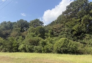 More details for 0 US Highway 49, Richland, MS - Land for Sale