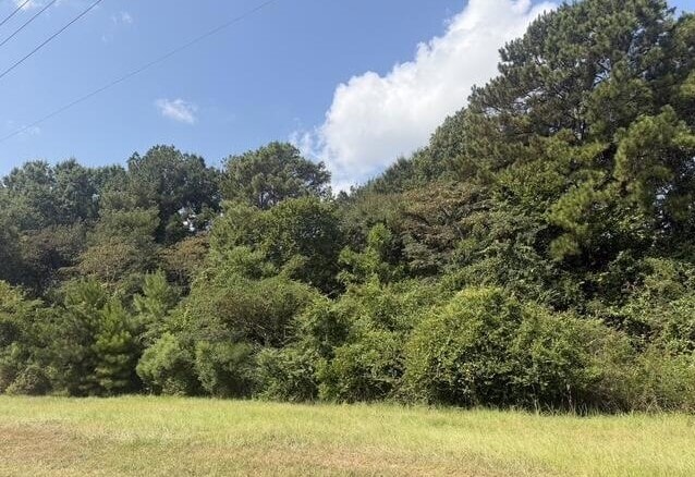 0 US Highway 49, Richland, MS for sale Primary Photo- Image 1 of 2