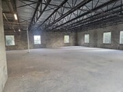 GREY SHELL SHOWING NATURAL LIGHTING